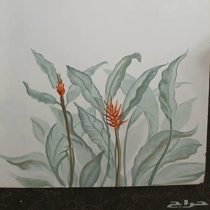 رسام ديكورات 2