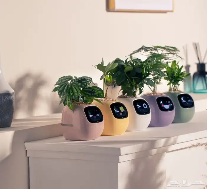 مزرعة ذكيه 6