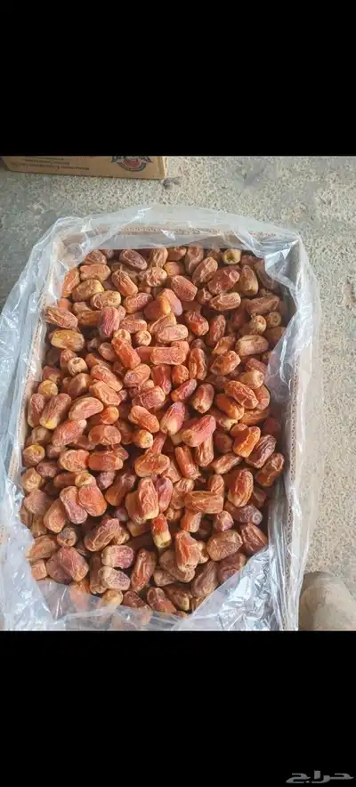 تمر صقعي فله 0