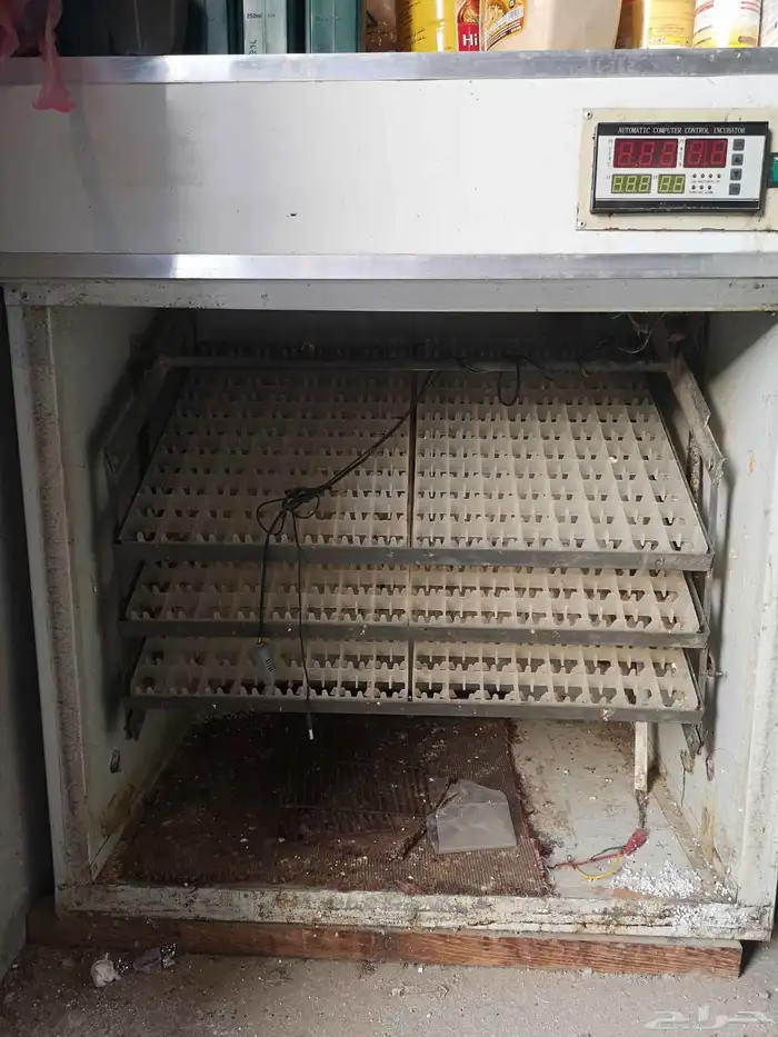 فقاسات للبيع 0