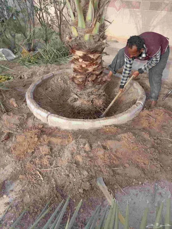 توريد وتركيب جميع انواع الشبوك شبوك مزارع شبوك استراحات شبوك 1