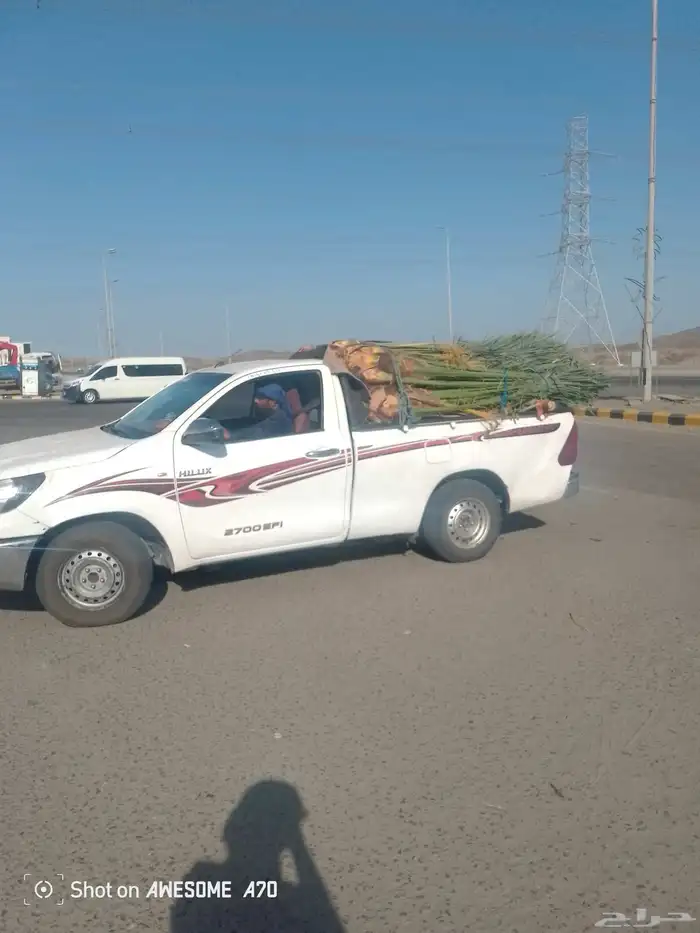 يوجد لدينا نخل زينه وعربي علا جميع المقاسات وسعار مناسبه 6