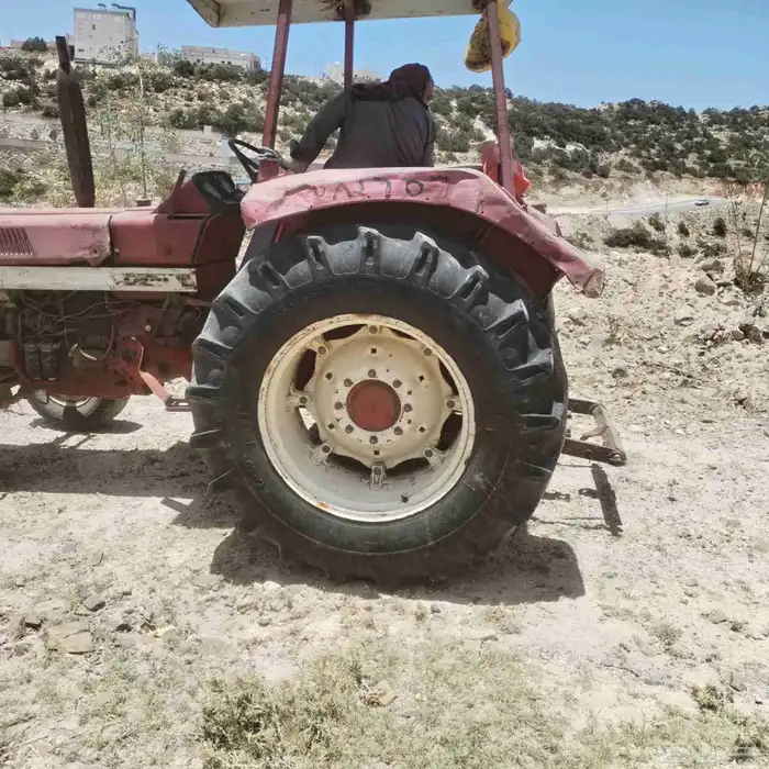 سبت العلايا 2