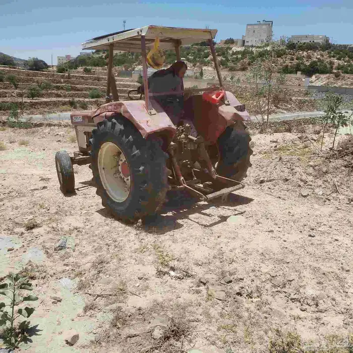 سبت العلايا 0