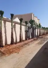 القصيم 4