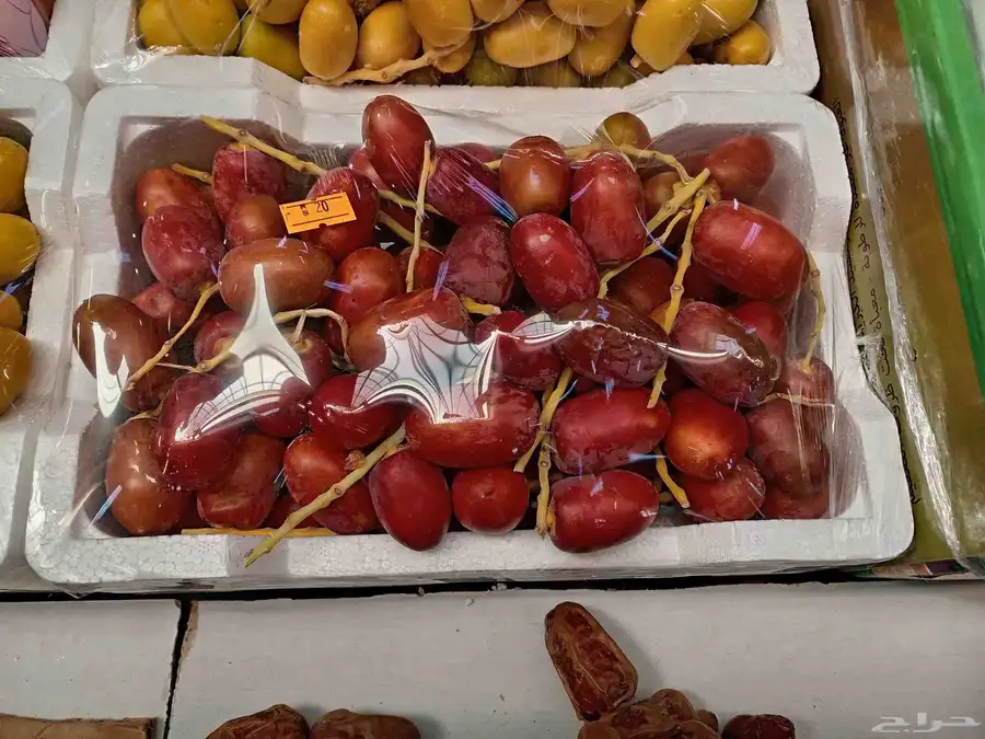روثان منصيف 1