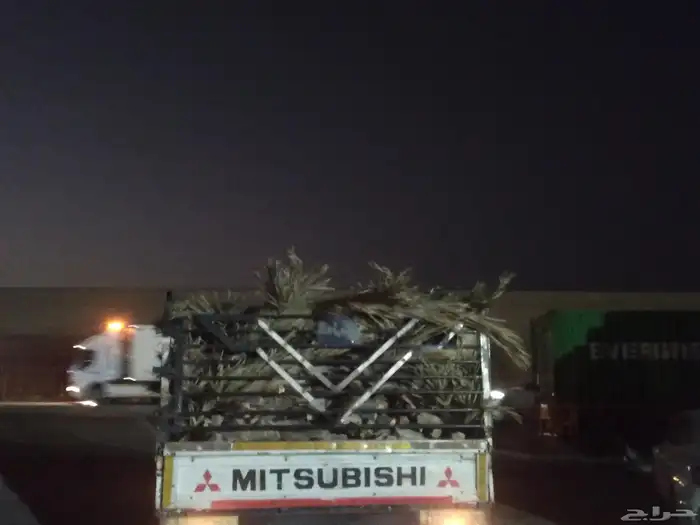 سعف نخيل طيب جديد للعرايش والمظلات 0