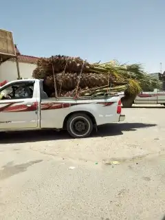 القصيم 8