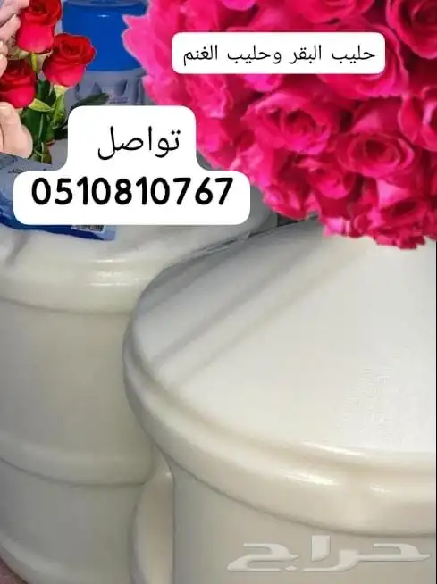 حي بدر الشفاء 0