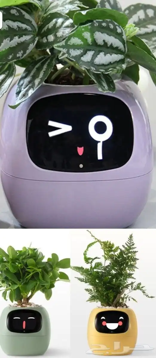 مزرعة ذكيه 5