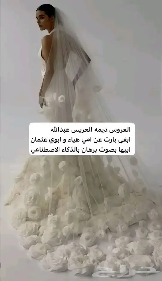 استديو_زفات_ليان_للتنفيذ_الزفات_والشيلة_وتعديل_الاسماء 8