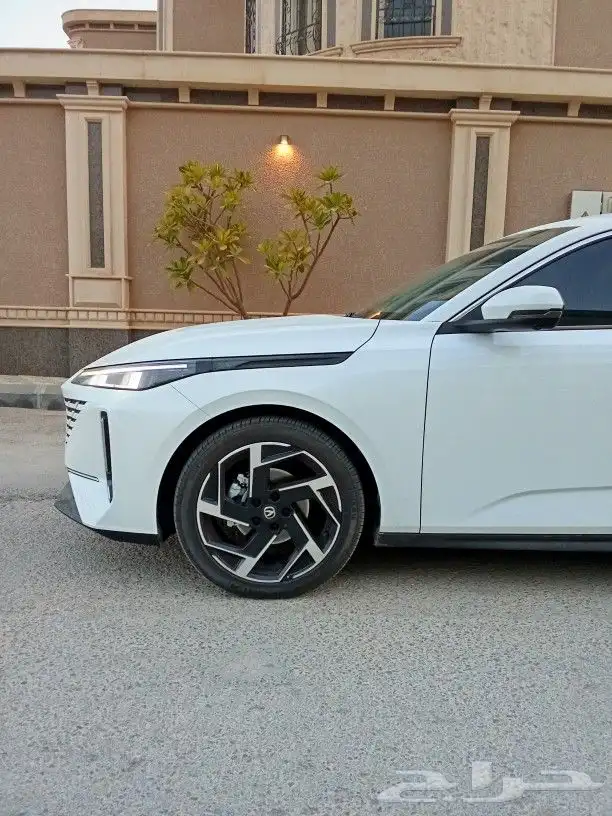 شانجان ايدو ليمتيد 2025 للتنازل 49
