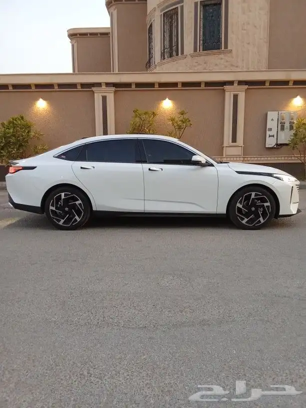 شانجان ايدو ليمتيد 2025 للتنازل 17