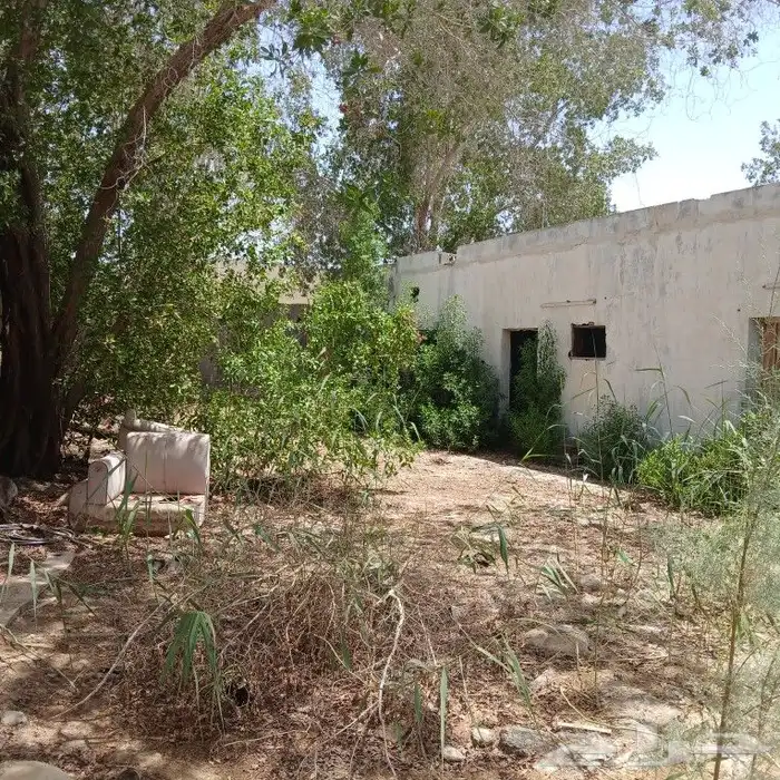 استراحتين للاجار في جدة المحاميد بجوار مسجد الصابرين 16