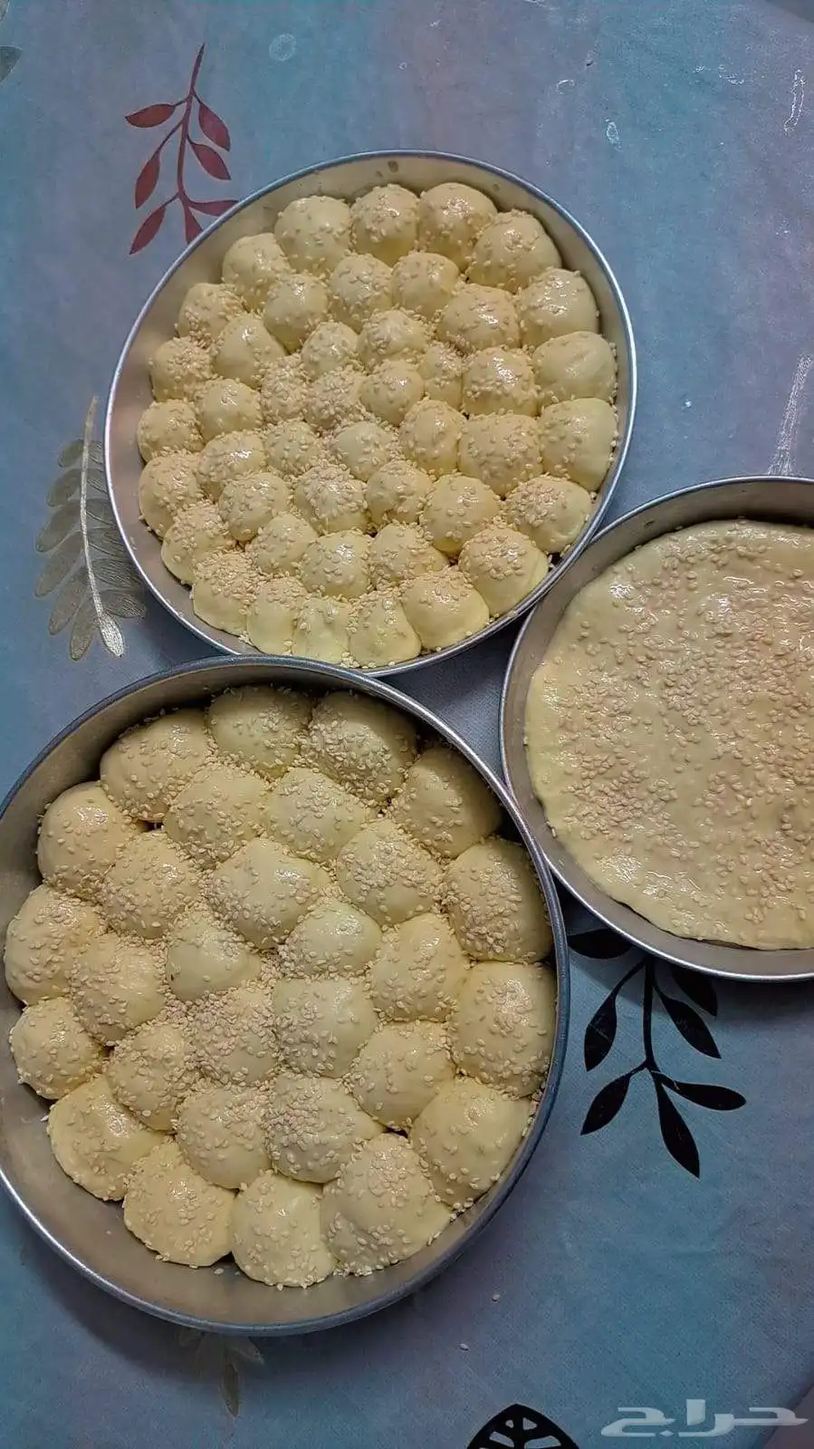 ورق عنب اكلات سوريا 25