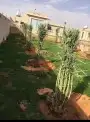 القصيم 6