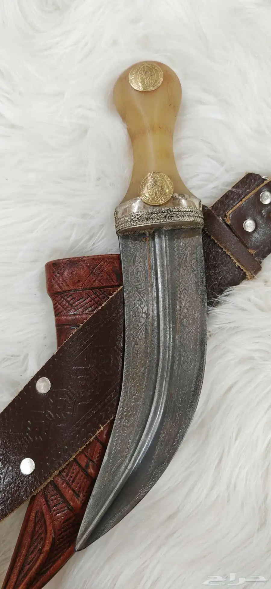 جنبيه درما كفو 2
