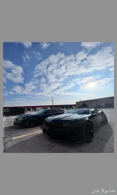 كامارو سوداء 4