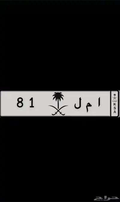 لوحه مميزه للبيع 0