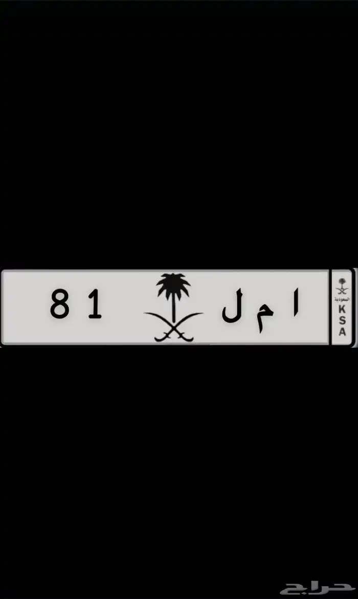 لوحه مميزه للبيع 0