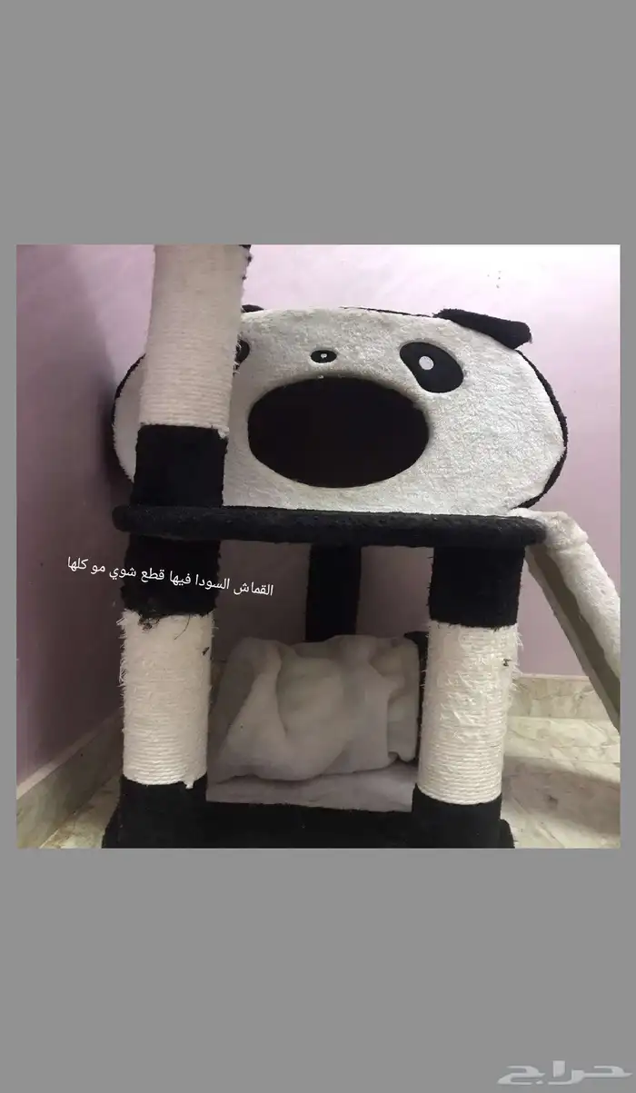 بيت قطط 0