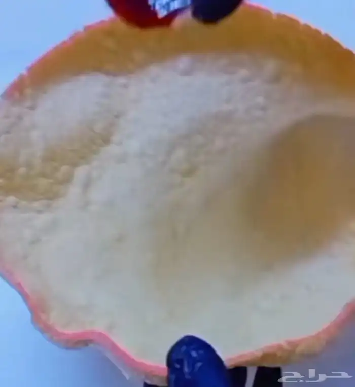 أكلات الشوارع والبسطات والمحلات 8