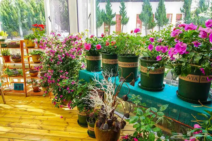 تنسيق حدائق المطاعم والمقاهي والمنشأت التجارية 0