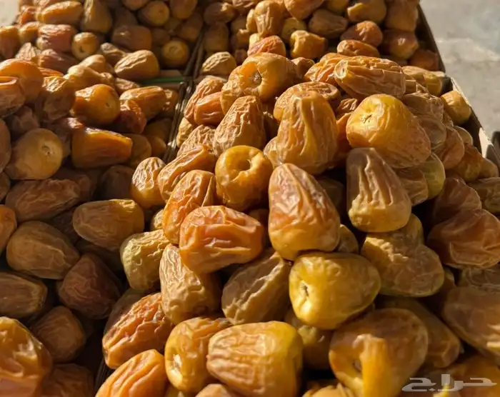 تمور القصيم 0