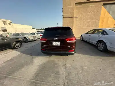 كياء للبيع 6