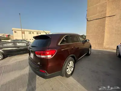 كياء للبيع 7