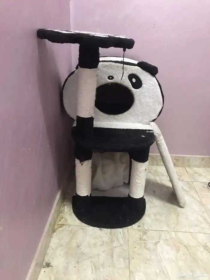 بيت قطط 1