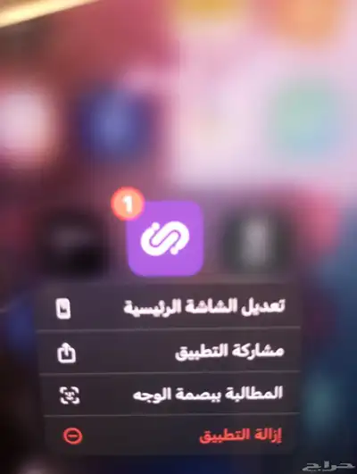 اجار جيني بولت 0