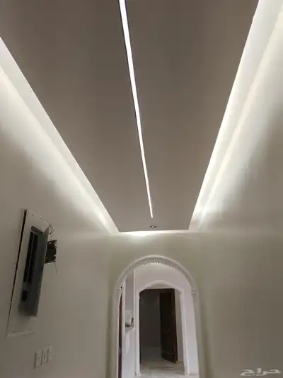 دهانات بويا 4