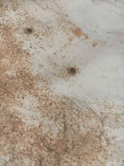 صحن دش بحالة جيدة 2