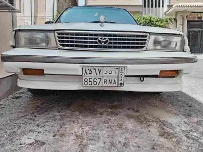 دقن قراندي بلاستيك 0