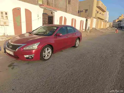 نيسان التيما 2013 0