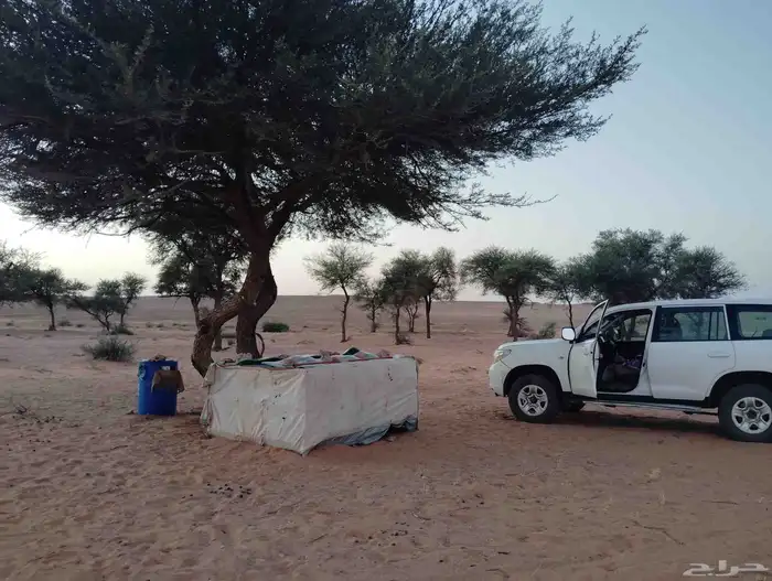 عسل طلح وسدر بري انتاجنا 4