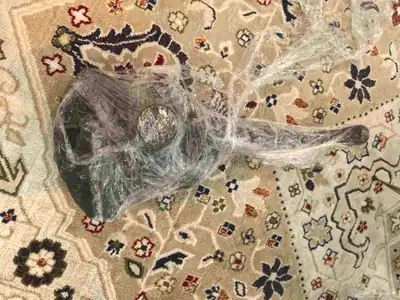 فلنجه يمين مرسيدس بانوراما 2009 s350 1