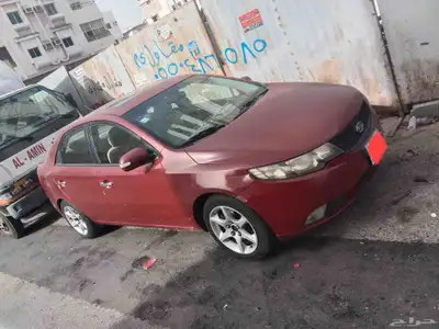 موديل 2011 1