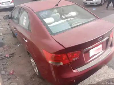 موديل 2011 3