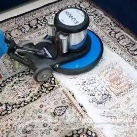 شركة مكافحة حشرات تنظيف مجالس رش مبيدات حشرات 4