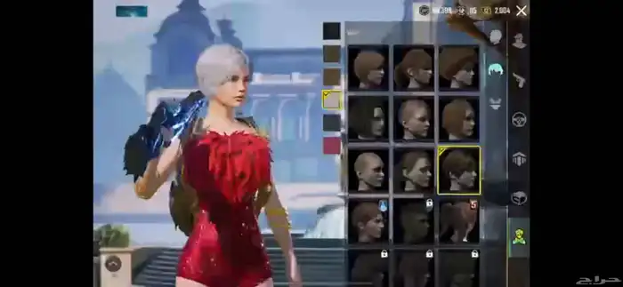 حساب ببجي .. pubg account 21