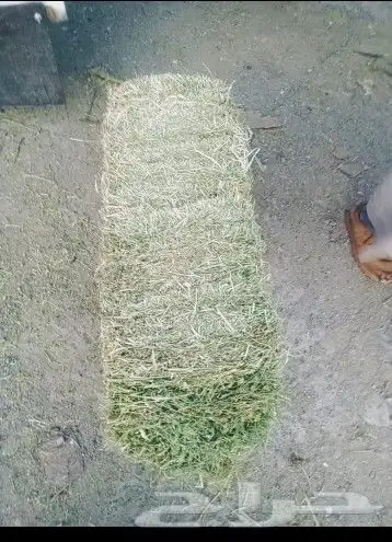 جميع انواع الاعلاف 2