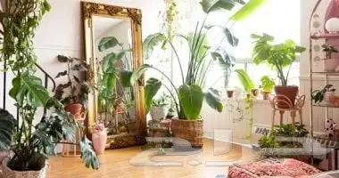 تنسيق حدائق المطاعم والمقاهي والمنشأت التجارية 3