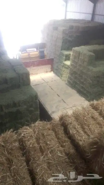 اعلاف غنم ابل خيول بقر 2