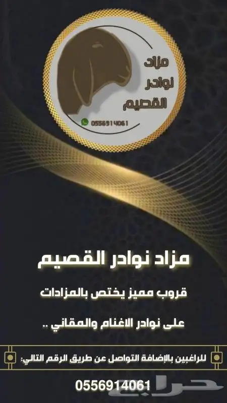 نوادر القصيم 0