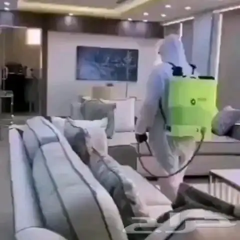 شركة مكافحة حشرات تنظيف مجالس رش مبيدات حشرات 0