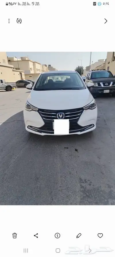 شنجان السفن 2023 3