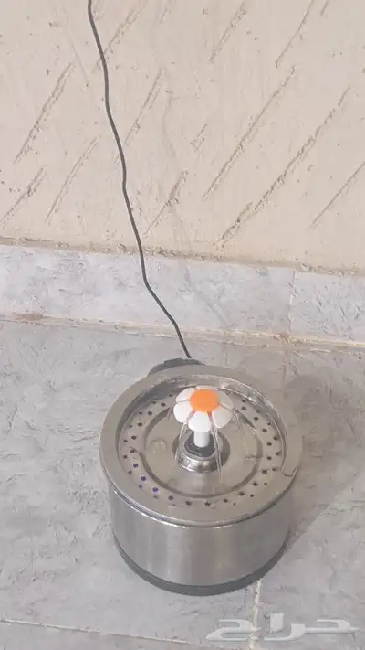 قطوه شيرازيه 1