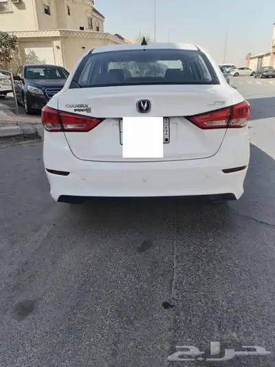شنجان السفن 2023 7